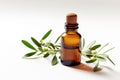 Tea Tree Essential Oil In Small Brown Bottle Next To Tea Tree On White Background. Generative AI Royalty Free Stock Photo