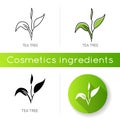 Tea tree icon. Skincare product component. Organic beauty. Herbal moisture. Essential oil. Natural cosmetic ingredient Royalty Free Stock Photo