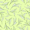 Tea tree leaves on light green background. Botanical style seamless pattern