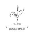 Tea tree pixel perfect linear icon. Skincare product component. Organic beauty. Herbal moisture. Thin line customizable