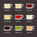 Tea Types Flat Design Infographics