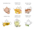 Tea types set. Kettle with hot drink