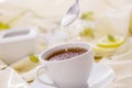 Tea with white cup with sugar Royalty Free Stock Photo