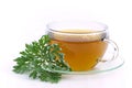 Tea wormwood