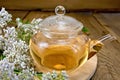 Tea with yarrow in glass teapot on board Royalty Free Stock Photo