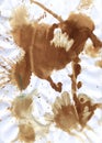 Teabag splatter on plain paper Royalty Free Stock Photo