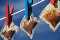 Teabags on a washing line Royalty Free Stock Photo