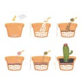 Teach the steps of cactus planted in pots with colorful gravel in side view cut in half to reveal the composition of the soil