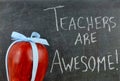 Teacher appreciation image of a red apple tied up with a cute blue ribbon Royalty Free Stock Photo