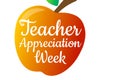 Teacher Appreciation Week. Holiday concept. Template for background, banner, card, poster with text inscription. Vector Royalty Free Stock Photo