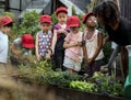 Teacher and kids school learning ecology gardening Royalty Free Stock Photo