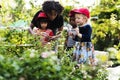 Teacher and kids school learning ecology gardening Royalty Free Stock Photo