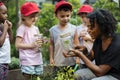 Teacher and kids school learning ecology gardening Royalty Free Stock Photo