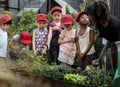 Teacher and kids school learning ecology gardening Royalty Free Stock Photo