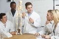 Teacher With Model Of Human Skeleton In Biology Class Royalty Free Stock Photo