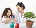 Teacher pupil sience tree Royalty Free Stock Photo