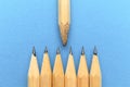 Teacher or tutor concept. Pencils on a blue background. An experienced leader, influence on the team Royalty Free Stock Photo