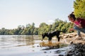 Teaching puppy to fetch a stick from the river Royalty Free Stock Photo