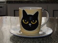Teacup with a black kitty print on a plate