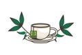 Teacup drink in dish with leafs plant