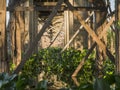 Teak bridge construction Royalty Free Stock Photo