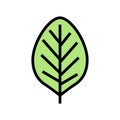 teak leaf color icon vector illustration