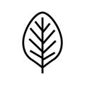 teak leaf line icon vector illustration