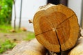 Teak log timber