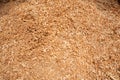 Teak Wood Sawdust Texture