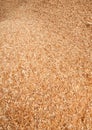 Teak Wood Sawdust Texture