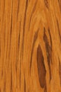 Teak (wood texture)