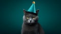 Teal backdrop, cat with hat purring birthday wishes