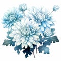 Teal Blue Chrysanthemum Arrangement: Watercolor Clipart On White Background Royalty Free Stock Photo