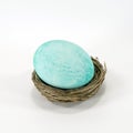 Teal or Blue-Green Egg in Nest