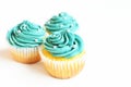 Teal Cupcakes Isolated