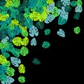 Teal green tropical jungle leaves vector scatter.