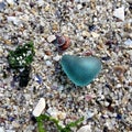 Teal heart sea glass on the beach. Beachcombing on sea shore.a shore. Beach walk Royalty Free Stock Photo
