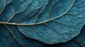 Teal Leaf Veins Detailed Close Up Royalty Free Stock Photo