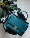 Teal lifestyle fashion leather bags surrounded by indoor plants zygocactus euphorbia cactus greenery in terracota clay pot
