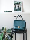 Teal lifestyle fashion leather bags surrounded by indoor plants zygocactus euphorbia cactus greenery in terracota clay pot