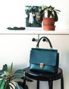 Teal lifestyle fashion leather bags surrounded by indoor plants zygocactus euphorbia cactus greenery in terracota clay pot