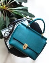 Teal lifestyle fashion leather bags surrounded by indoor plants zygocactus euphorbia cactus greenery in terracota clay pot