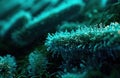 Teal Microscopic Landscape of Cellular Structures and Fungi Spores for Biology Research