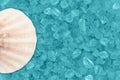Teal textured beach glass with seashell closeup background