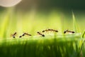 Team of ants running around the curved green blade of grass AI generated