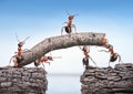 Team of ants works constructing bridge, teamwork concept Royalty Free Stock Photo