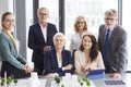 Team of architects during business meeting Royalty Free Stock Photo