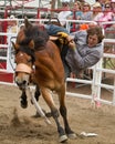 Team Bronc Riding -PRCA Sisters, Oregon Rodeo 2011 Royalty Free Stock Photo