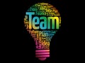 TEAM bulb word cloud collage Royalty Free Stock Photo