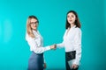 Team and business handshake of two women. Closing the deal. Hand in hand in the journey of success. female client and smiling Royalty Free Stock Photo